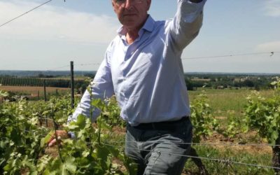 Le vignoble qui vit à l’ombre du saint-Emilion