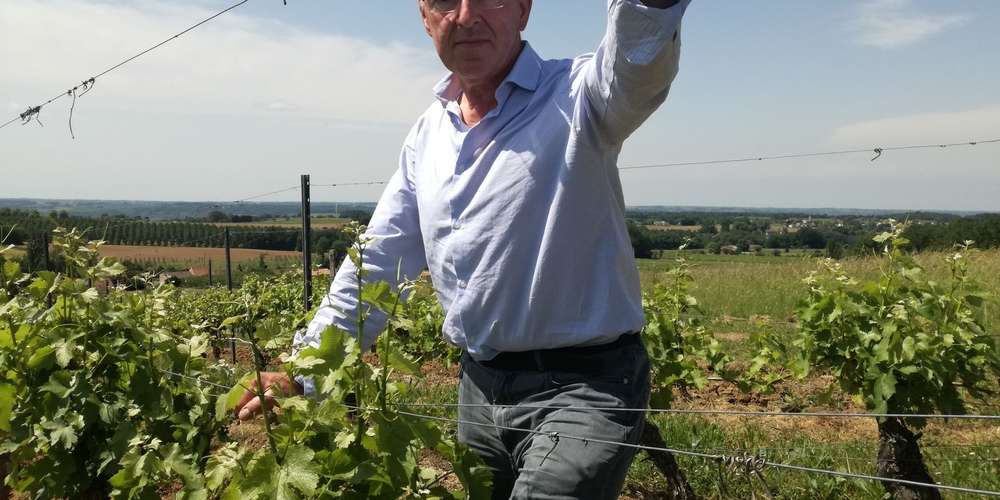 Le vignoble qui vit à l’ombre du saint-Emilion