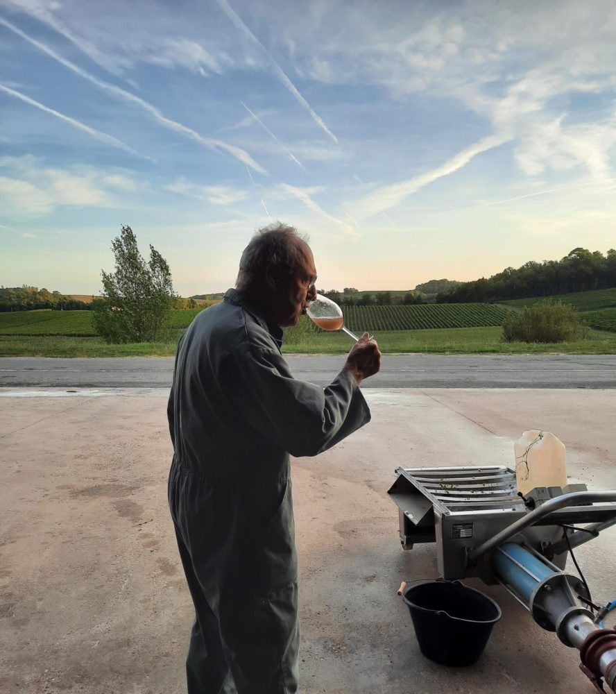 Vendanges 2021 à Puy Servain