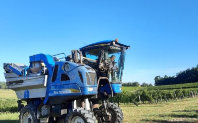 Les vendanges 2021 à Puy Servain