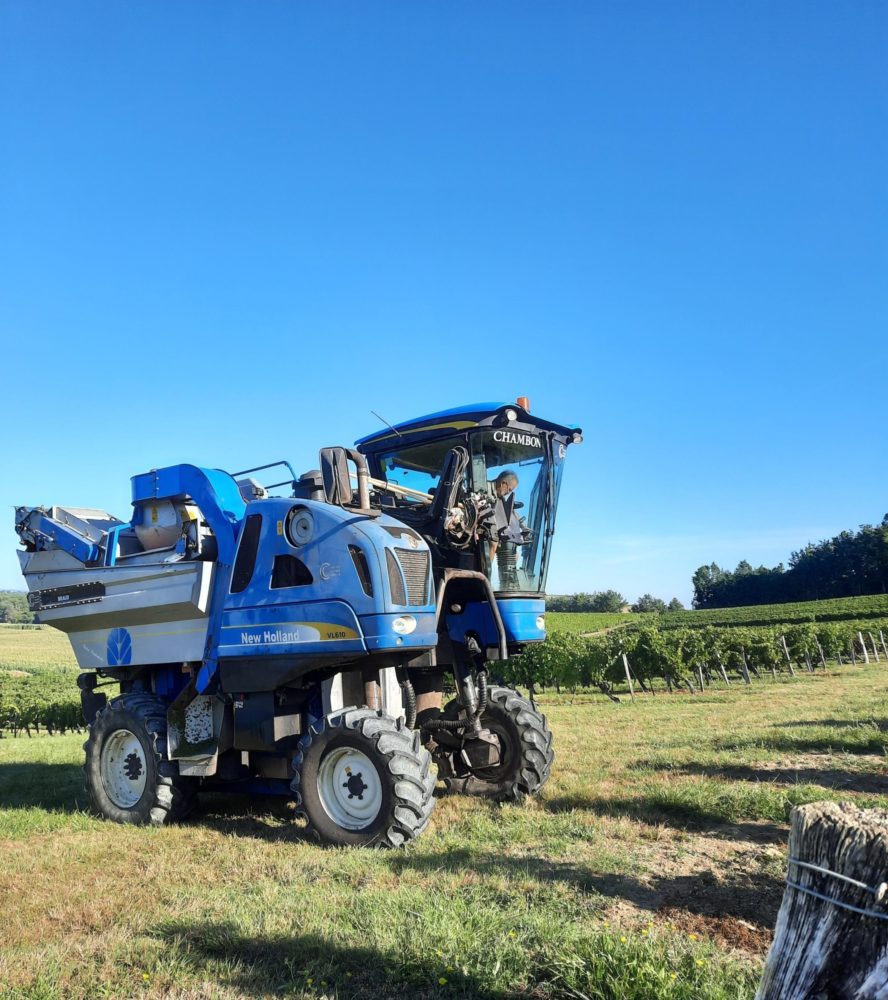 Vendanges 2021 à Puy Servain