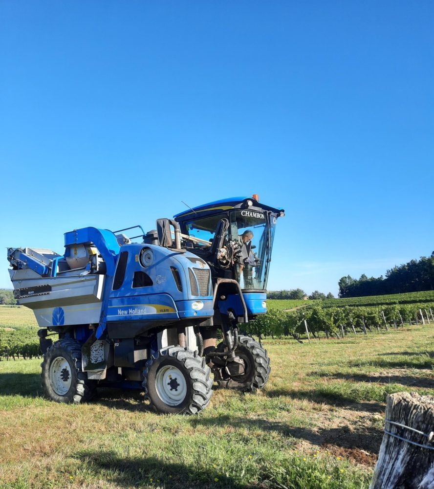 Vendanges 2021 à Puy Servain